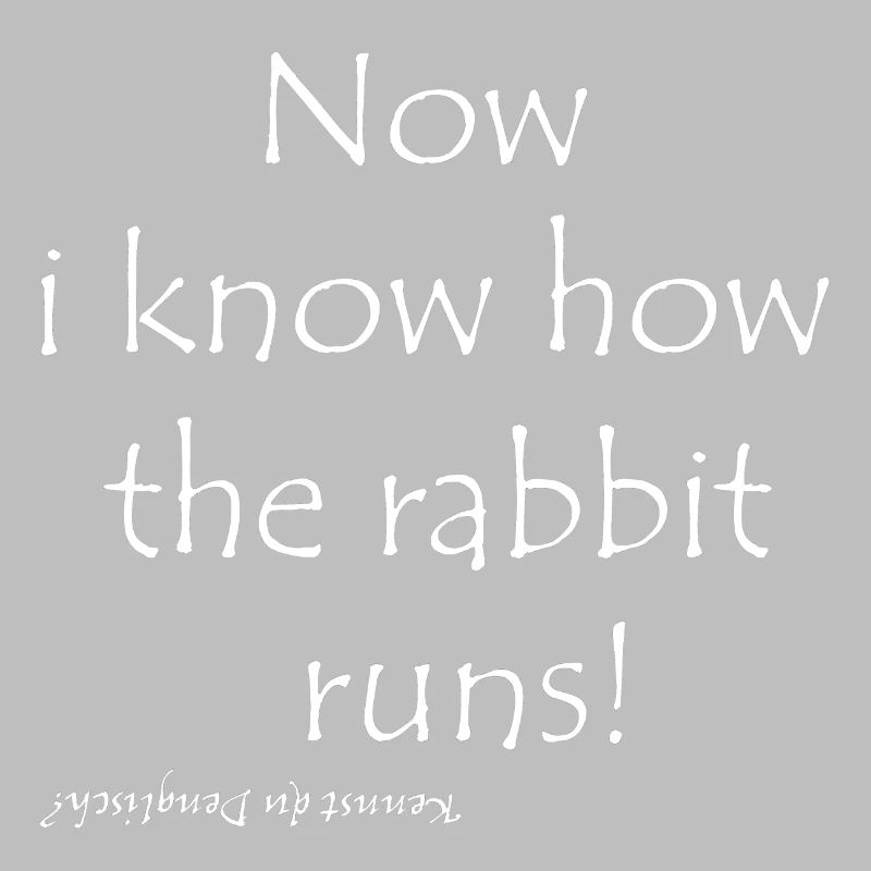 Now i know how the rabbit runs