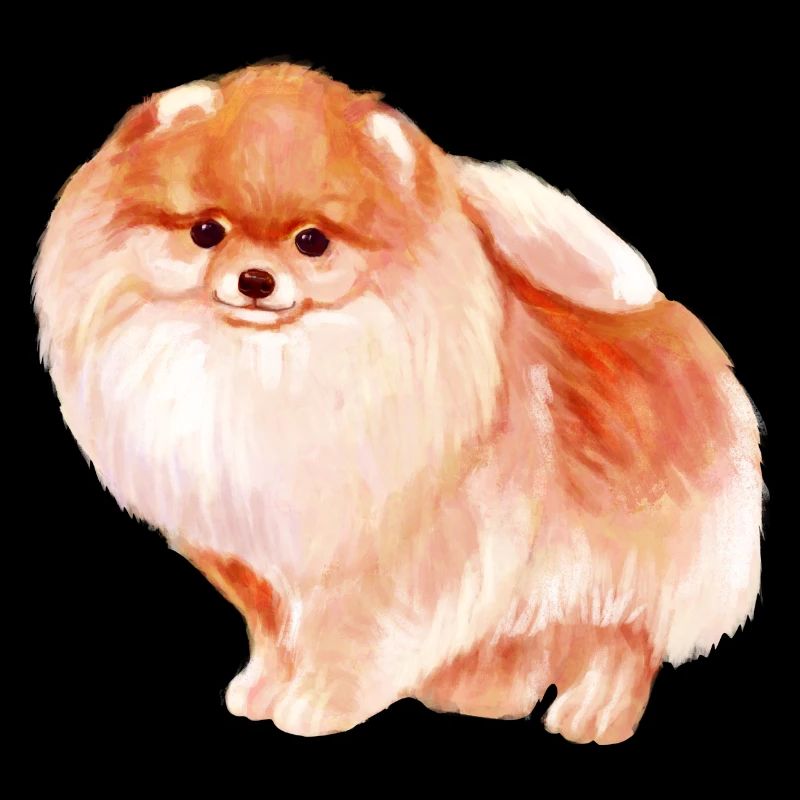 Pomeranian