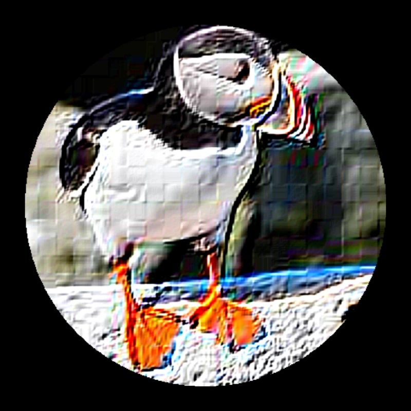 Puffin Rock