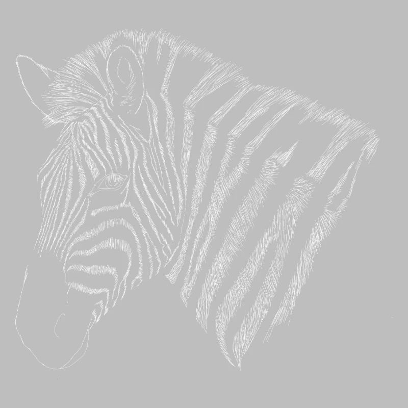 hand-drawn zebra
