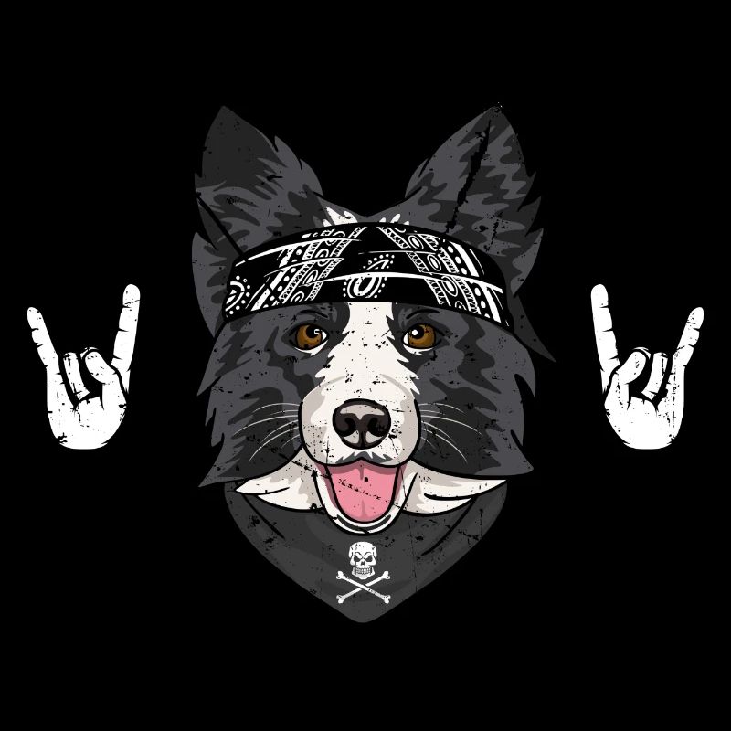 border collie