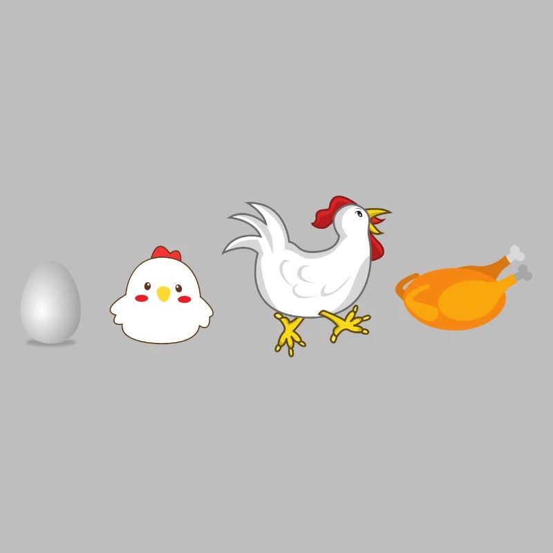 évolution œuf poulet coq poule original