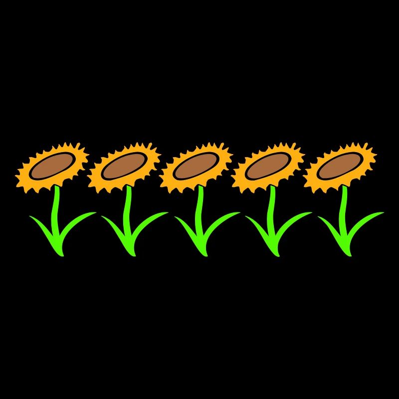 Many Small Sunflowers Sun Five Flowers Row