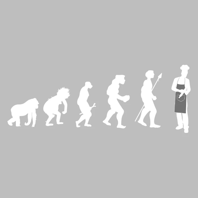 KochKoch Evolution