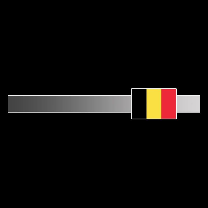 Bannière et drapeau de la Belgique