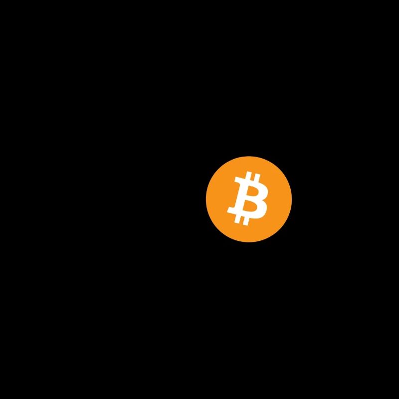 Krypto BITCOIN 2