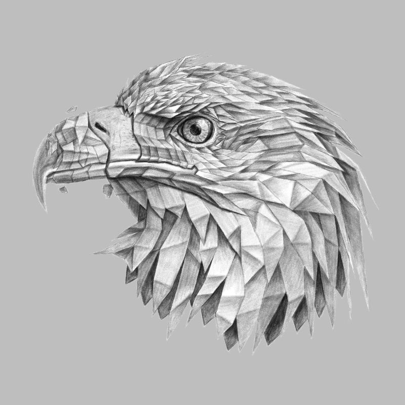 Adler