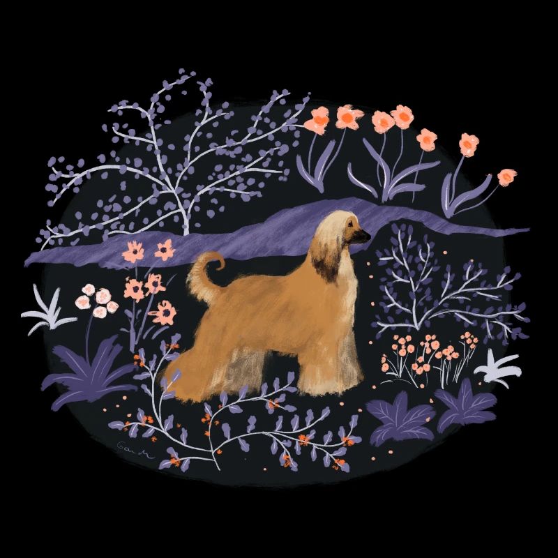 Les Afghans dans la forêt de rêve