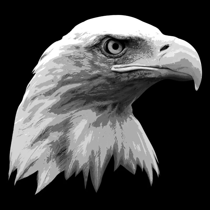 Eagle head, black and white, Eagle, Eagle