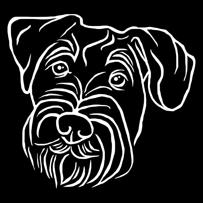 Middle Schnauzer