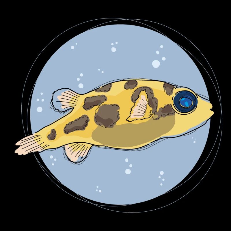 Pea Puffer ,puffer, kugelfisch