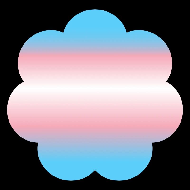 Subtle Transgender Pride