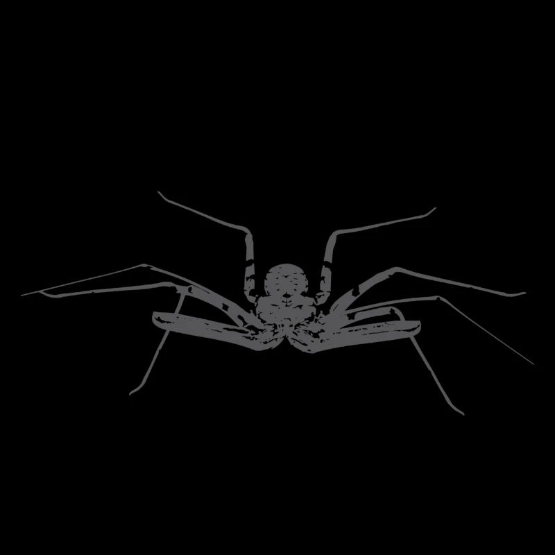 Geißelspinne - Amblypygi