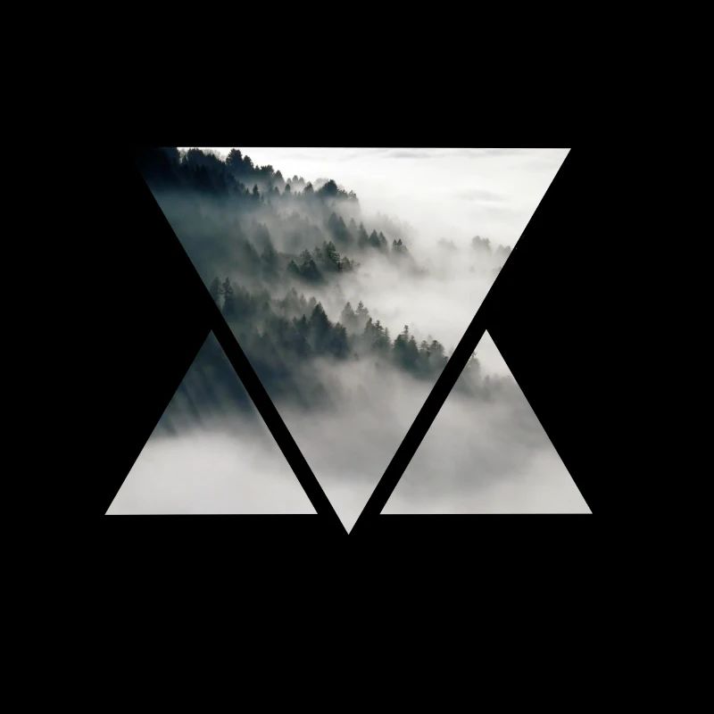 Triangle Brouillard et Forêt