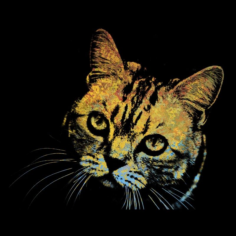 Gesicht Katze