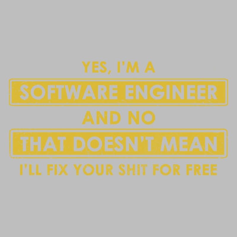 Software-Ingenieur