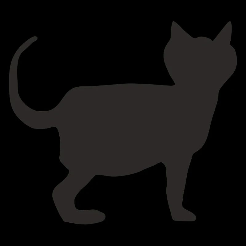 Chat Noir