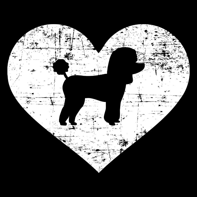 Caniche