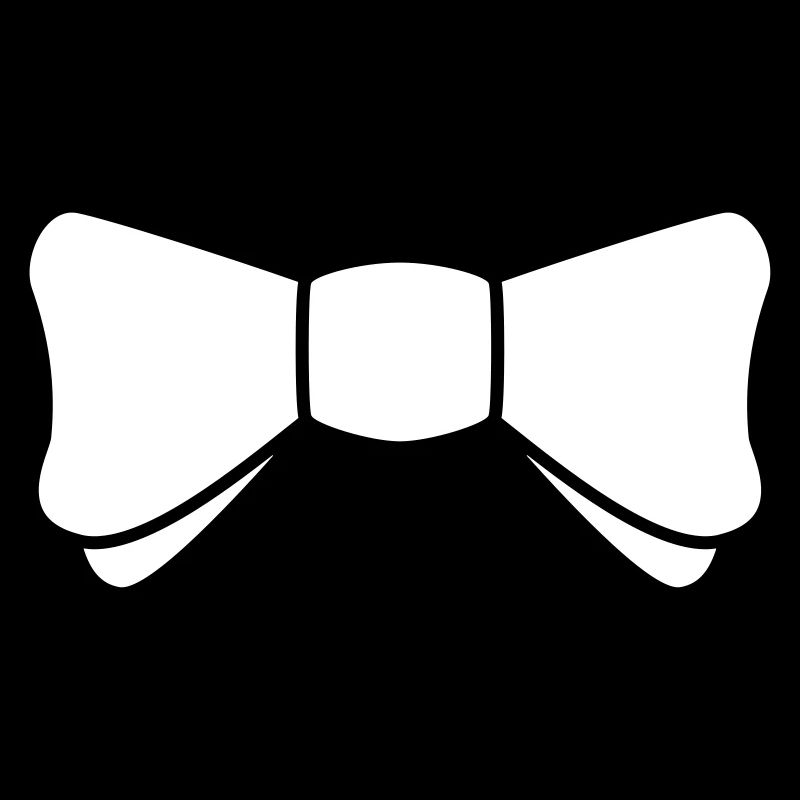 Modern fly