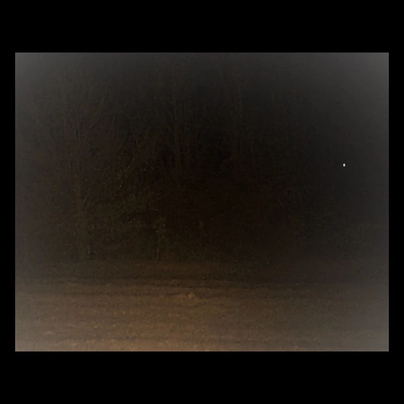 Créature effrayante dans la forêt