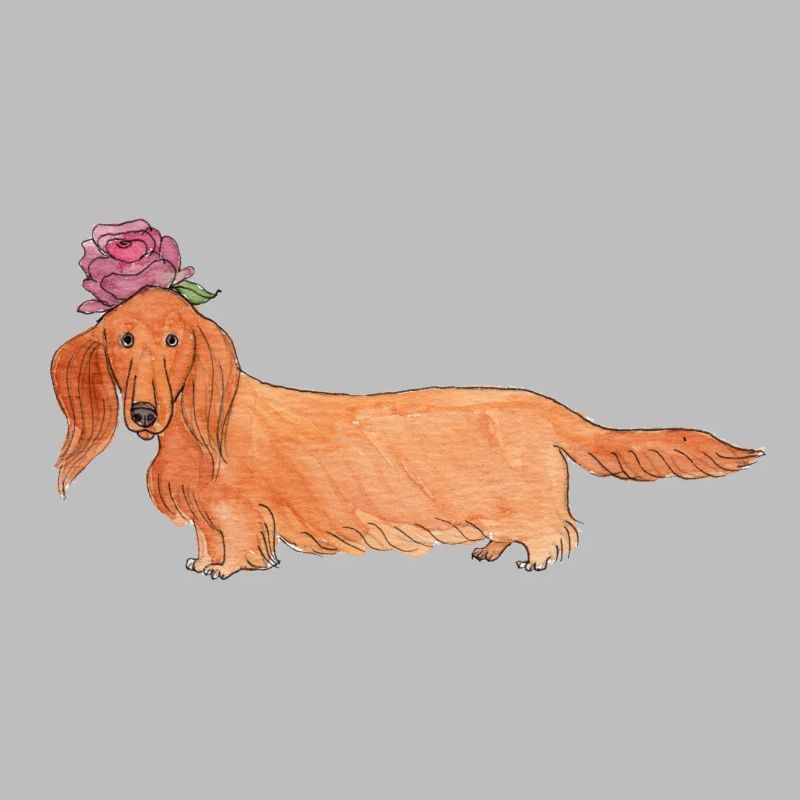 Teckel à fleur