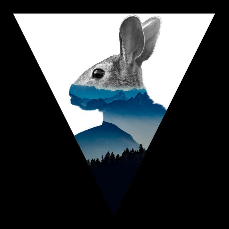 Hase