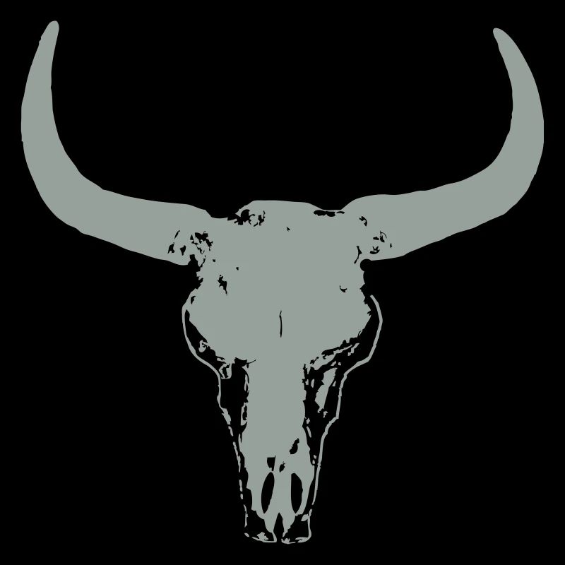 Buffalo Skull