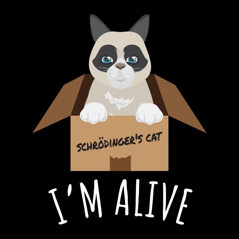 Idée de cadeau pour le chat de Schroedlinger