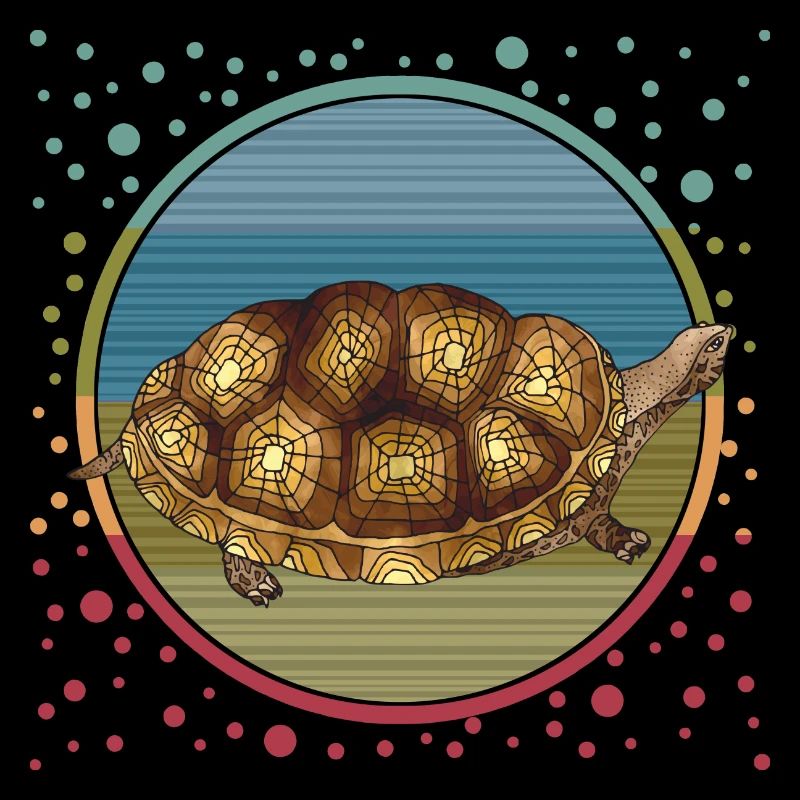 Tortoise