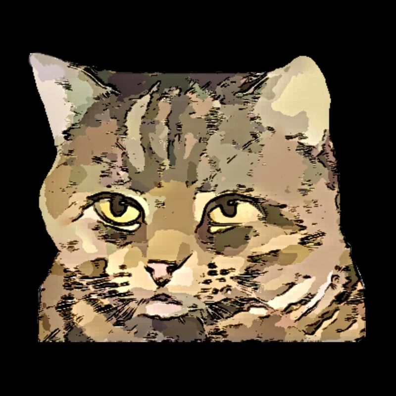 Katze