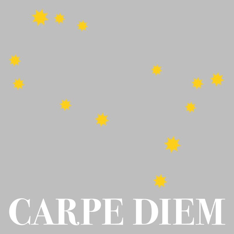 Carpe Diem a utilisé la constellation du jour Gémeaux