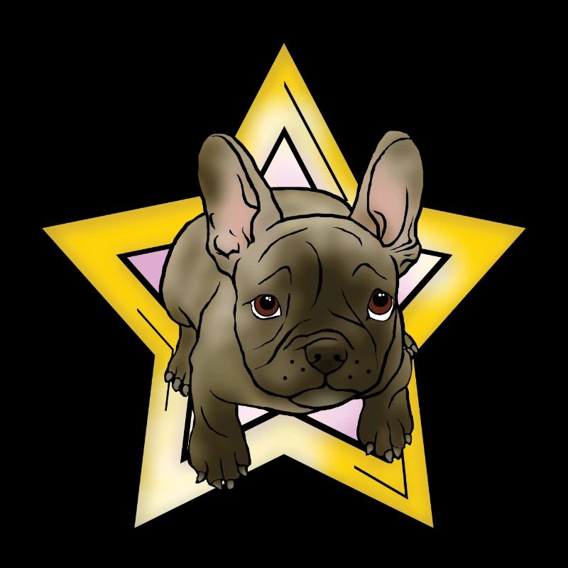 Chiot bouledogue français avec étoile
