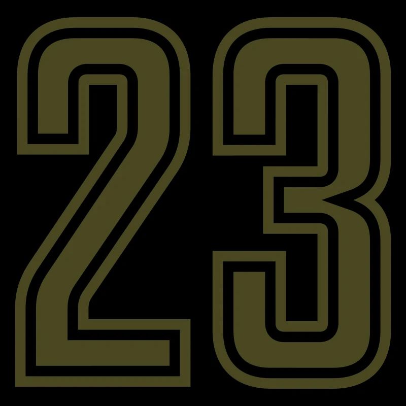 23