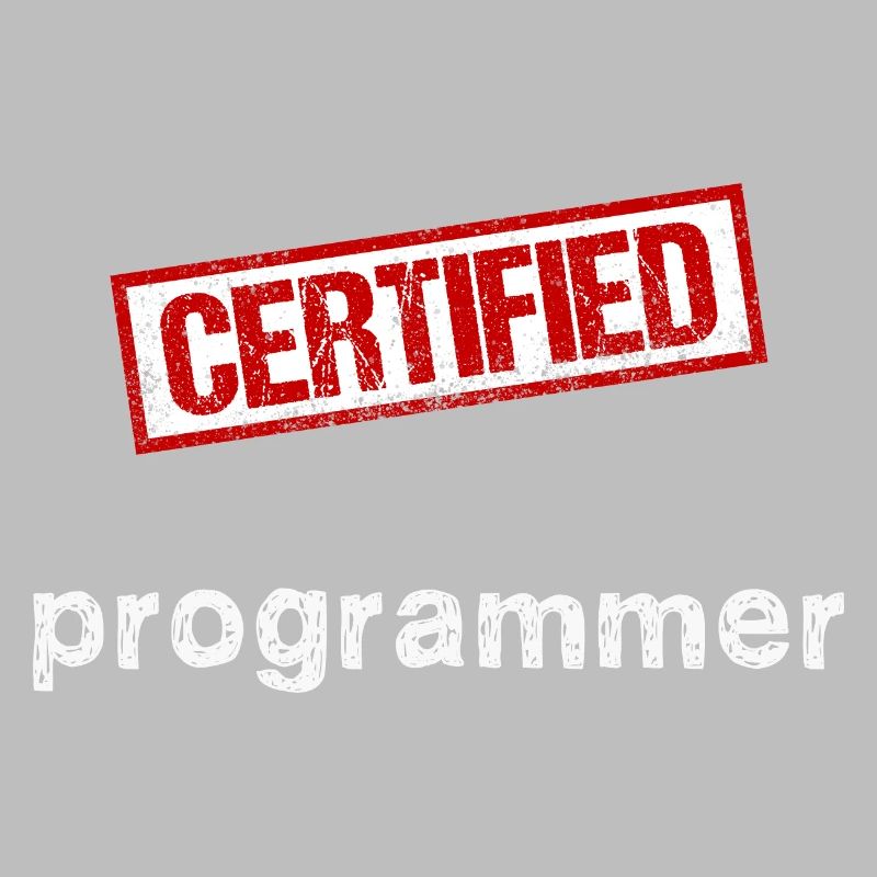 Programmeur