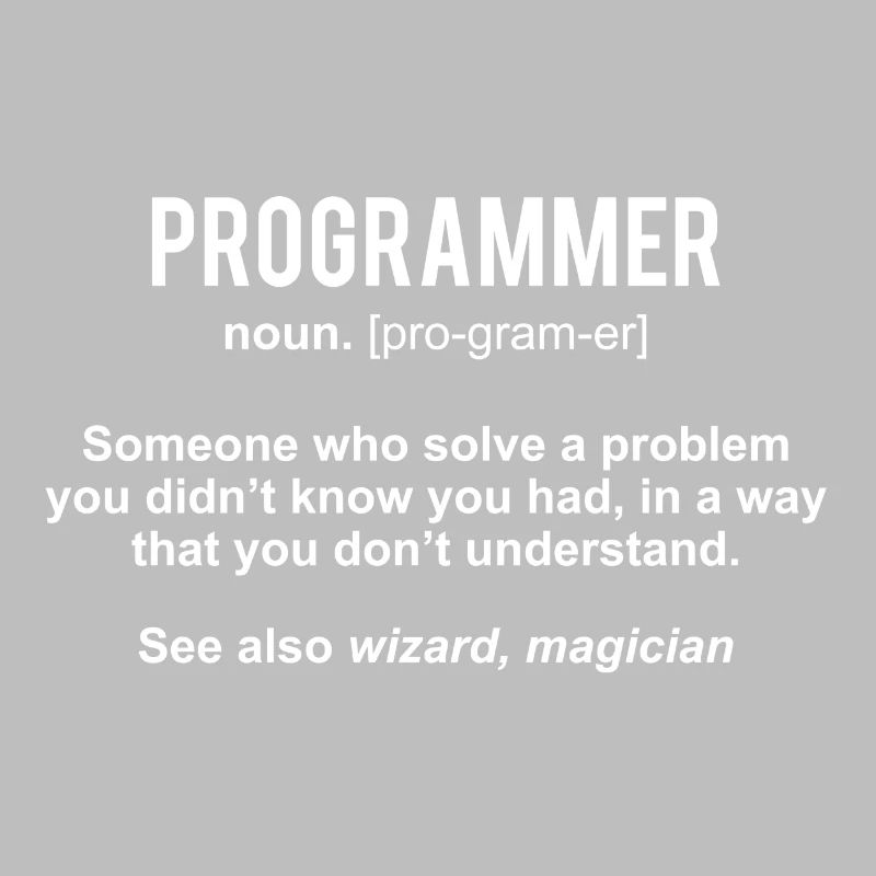 Programmer Definition Programer Shirt Gift