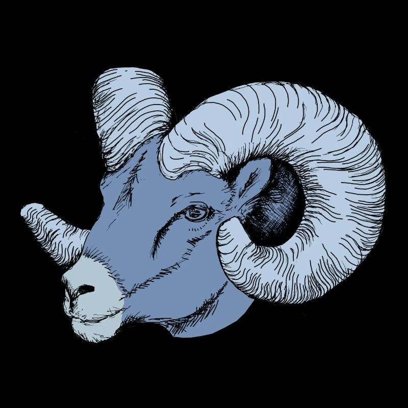 Aries - Bélier