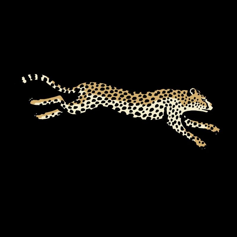 Gepard
