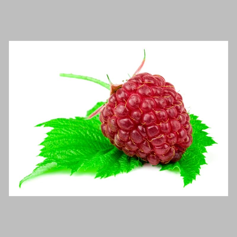 Raspberry. Raspberry