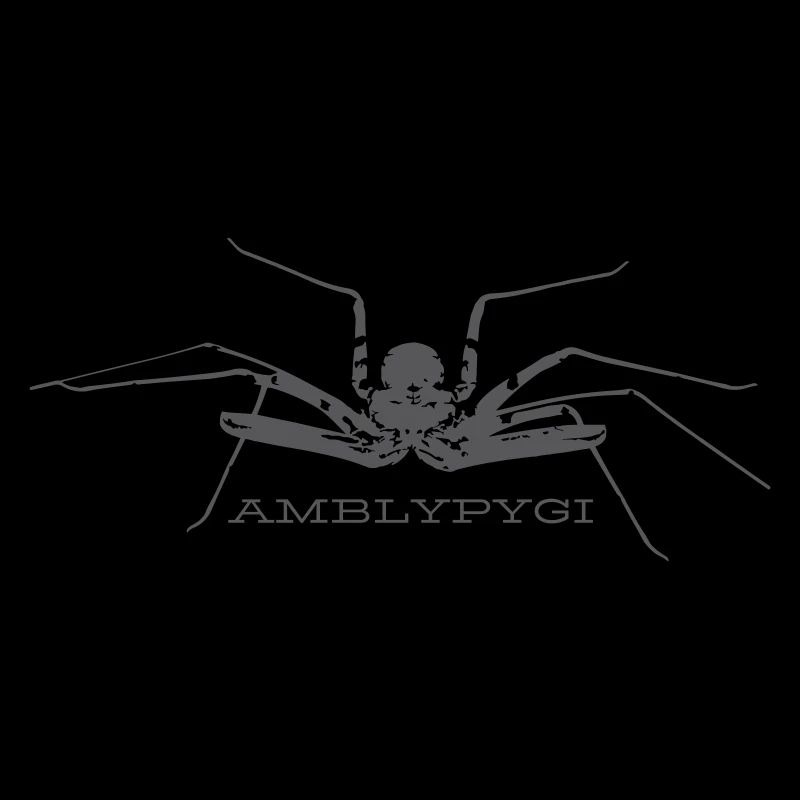 Araignée flagelle - Amblypygi