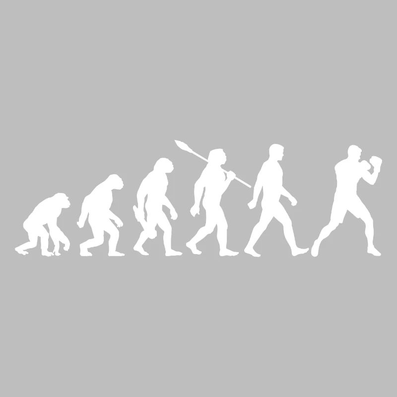 Evolution - Boxen, Kampfsport, Boxtraining