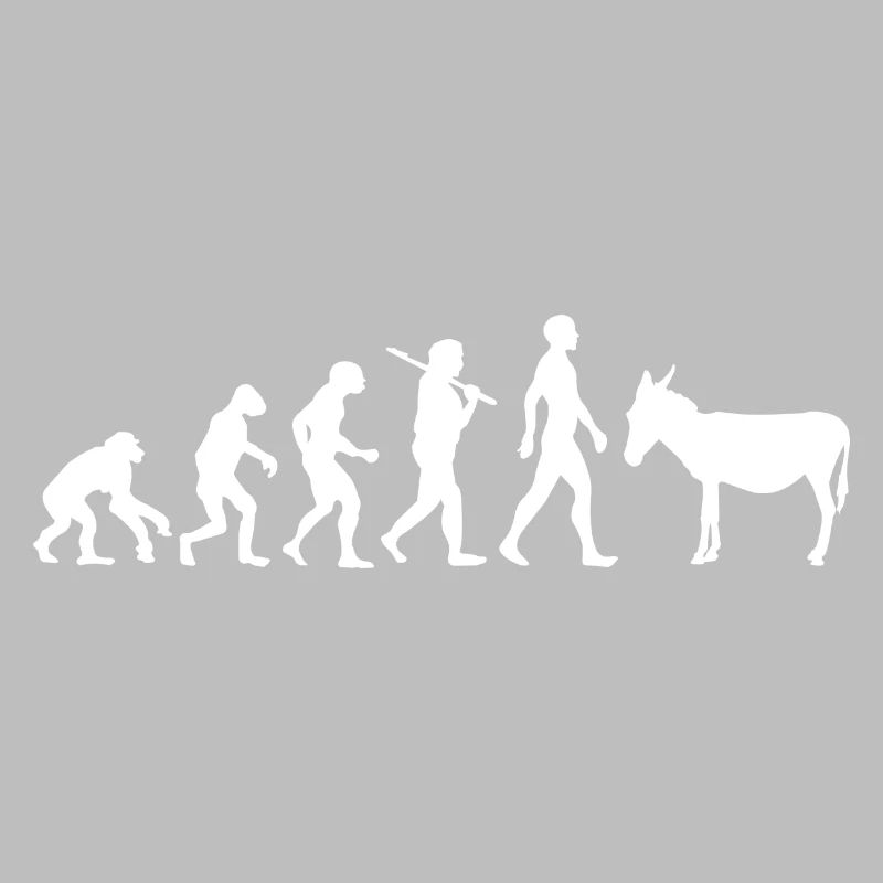 Evolution âne mule animal cadeau idée