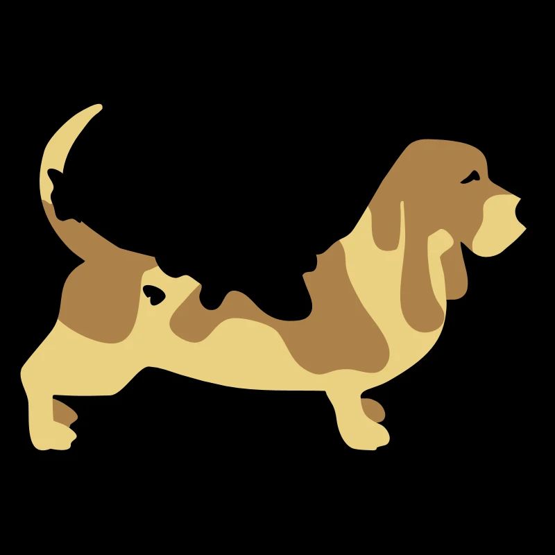 Basset Hound