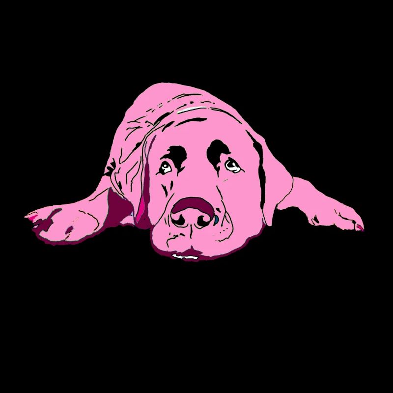 Labrador
