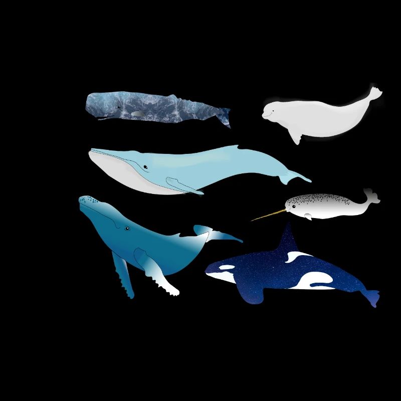 whales