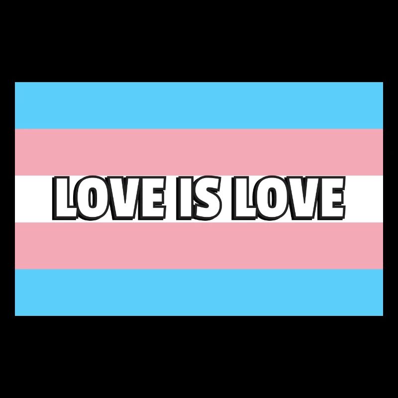 Trans Pride Liebe ist Liebe