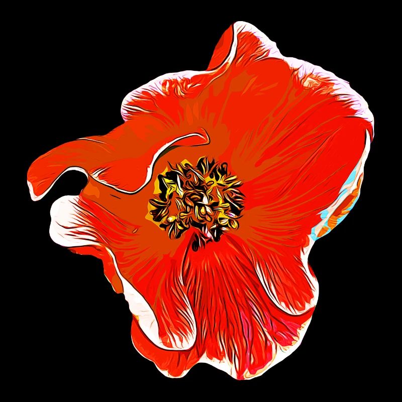 Flowers Rose orange