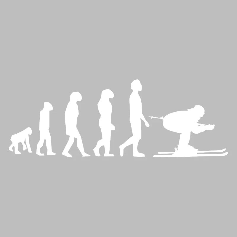 Evolution Ski / Développement