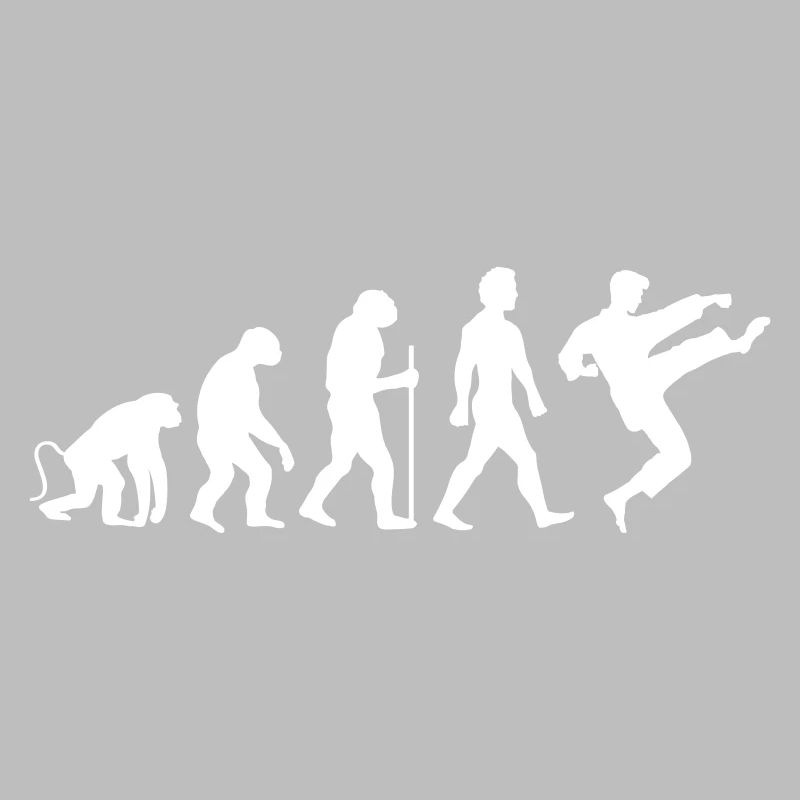 karate evolution