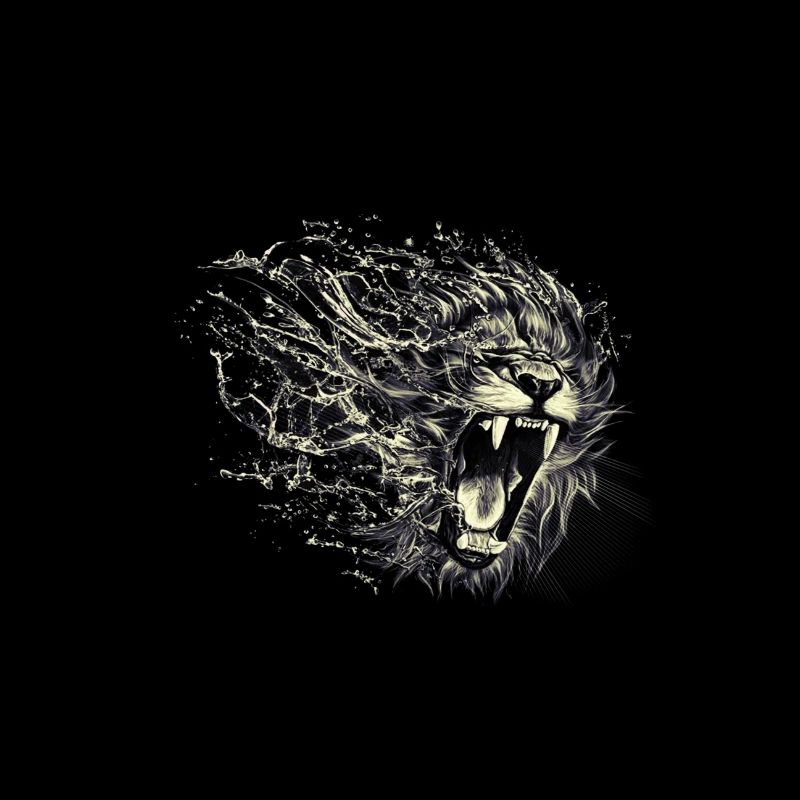 Lion noir