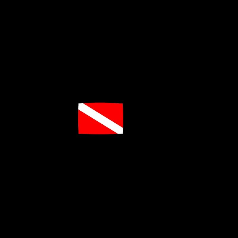 Plongée Plongeur Down Flag Plongée sous-marine Taucher Tauchen